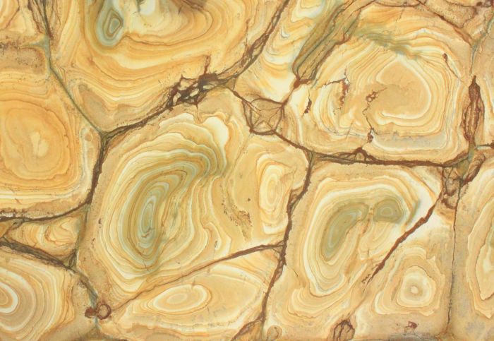 Кварцевый агломерат Stonewood Leather